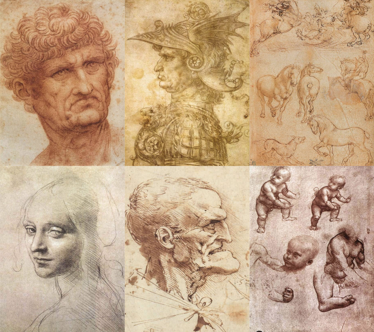 Da Vinci header