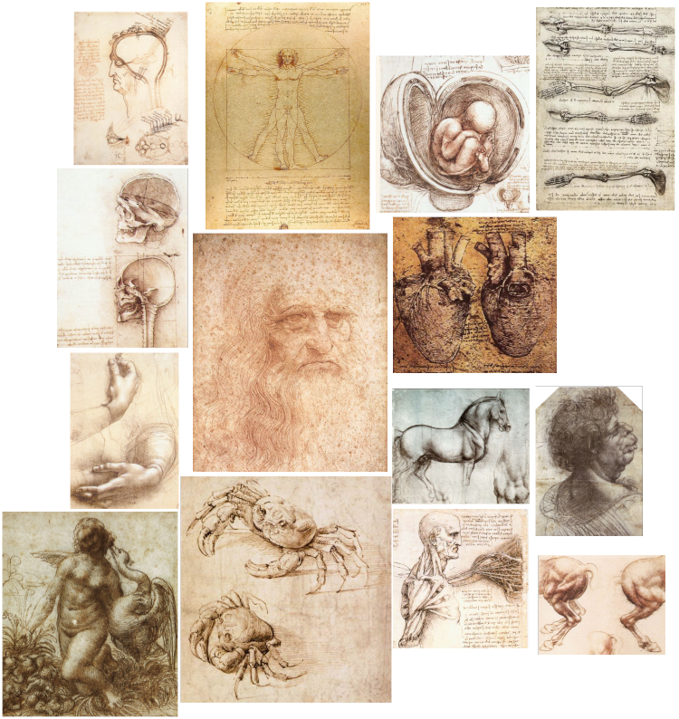 Da Vinci collage